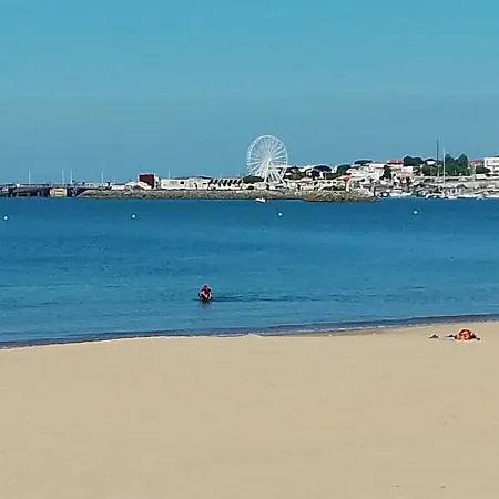 Neuf 65 M2 Lumineux Au Calme Balcon Et Parking * Royan