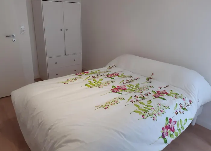 Apartment Neuf 65 M2 Lumineux Au Calme Balcon Et Parking