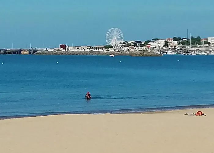 Neuf 65 M2 Lumineux Au Calme Balcon Et Parking * Royan